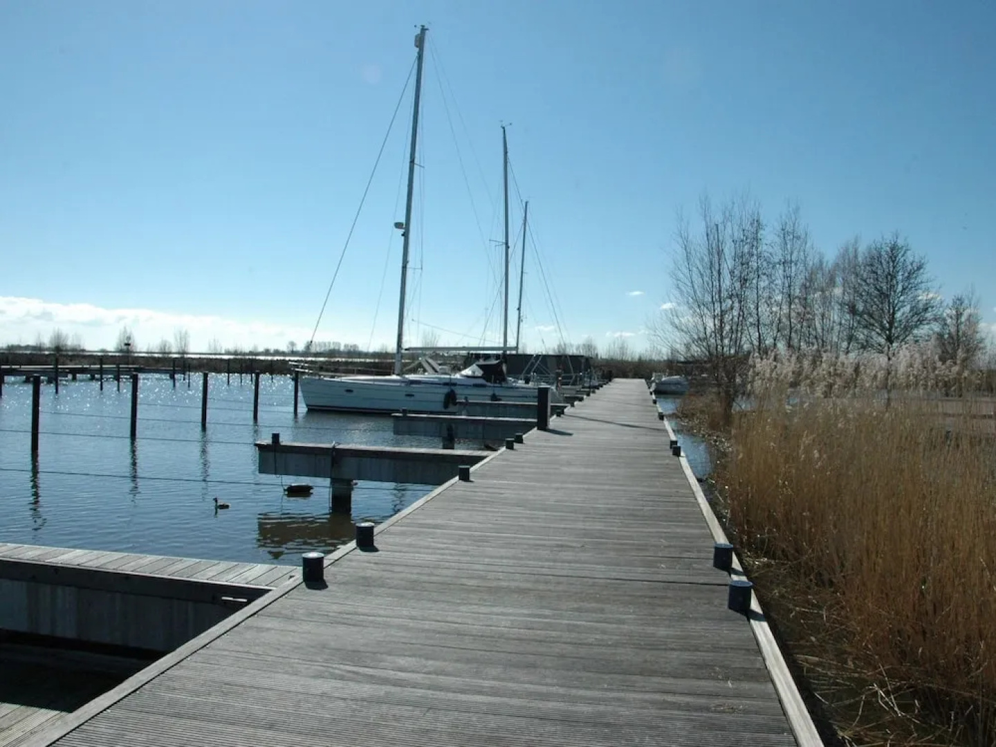 Boat in Volendam Near Marina Museum