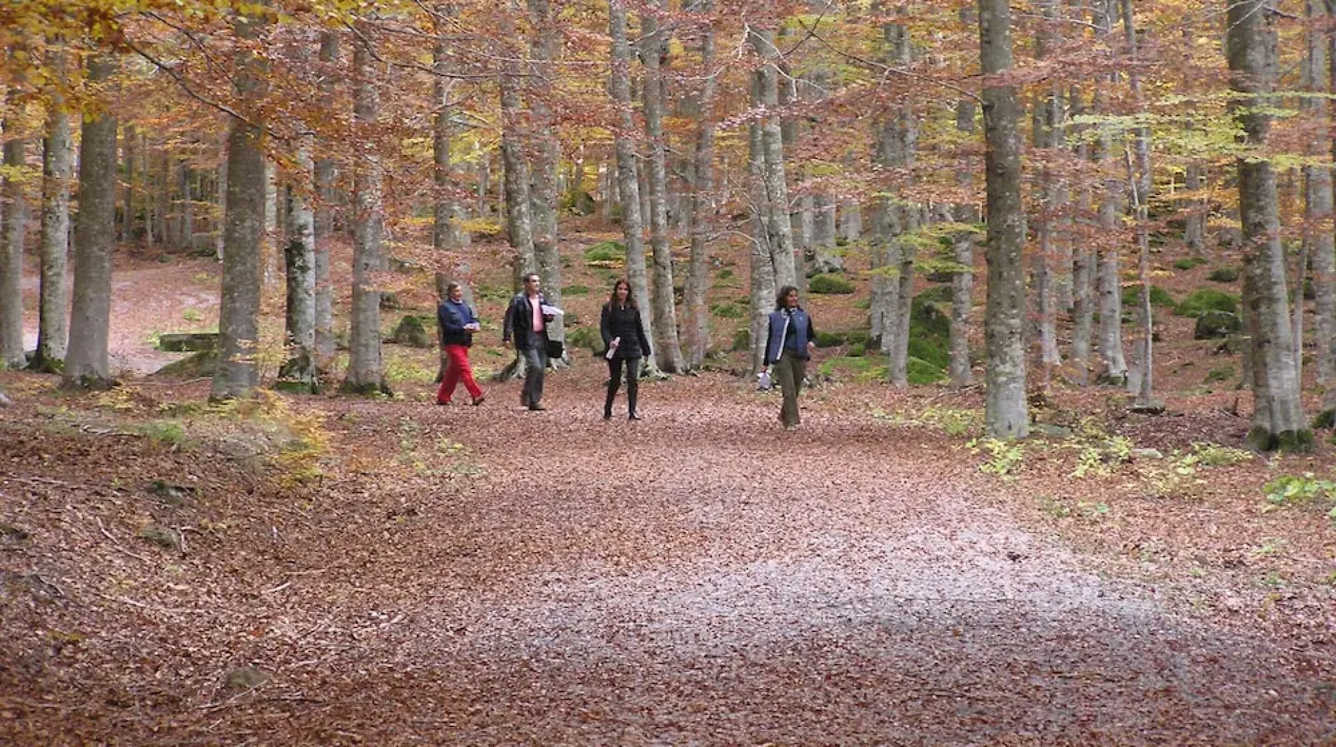 Chalet Il Vecchio Rifugio