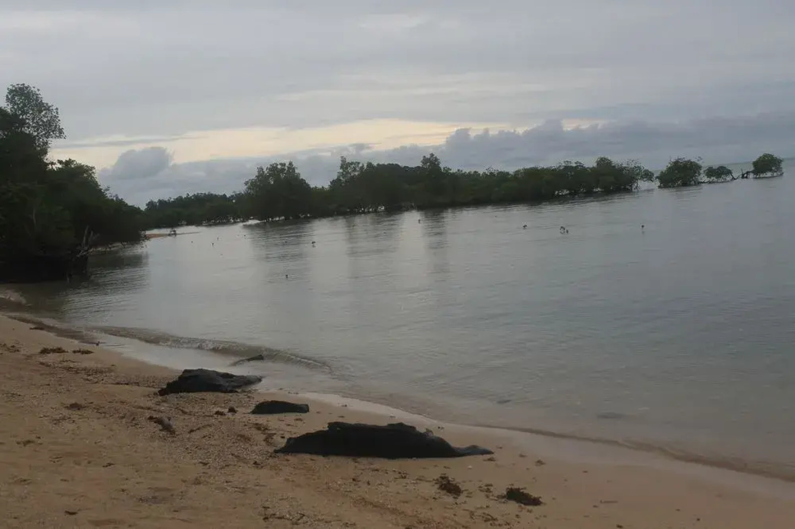 Walai Penyu Resort - Campground