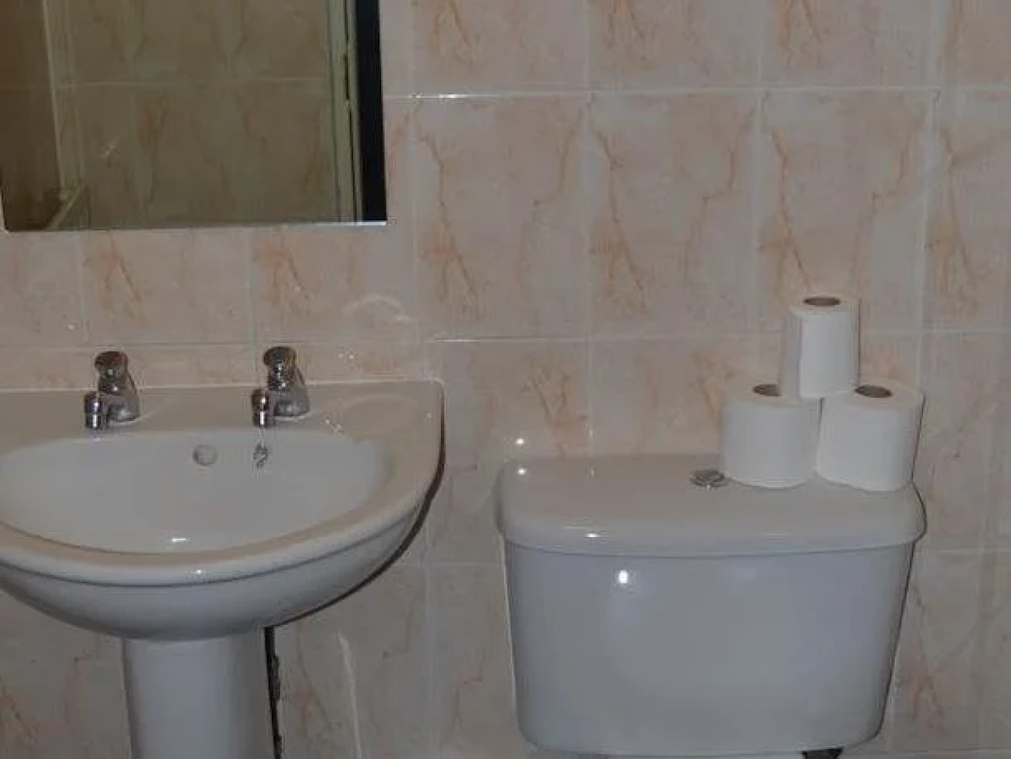 Paddy's Palace Dublin