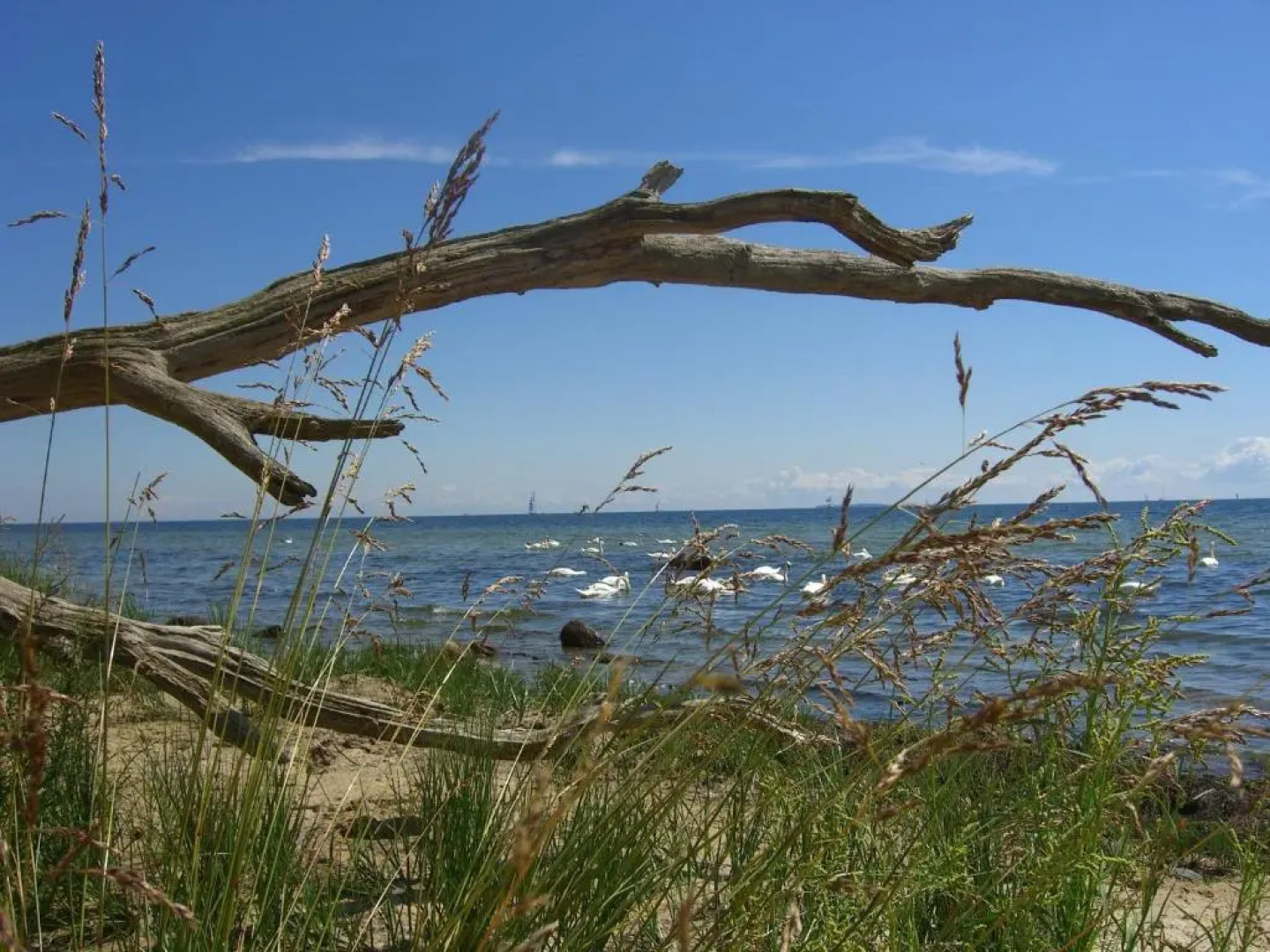 Ferienhaus Boddenhus