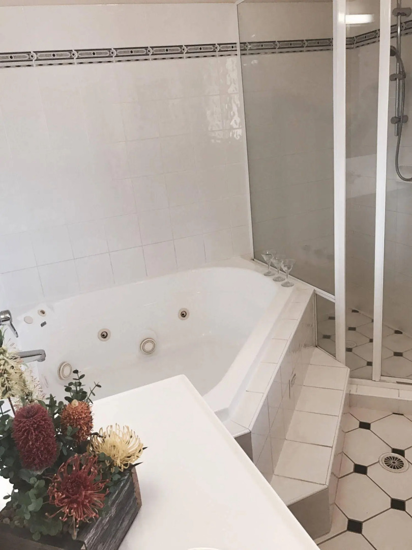 Bearded Dragon Tamborine Country Lodge