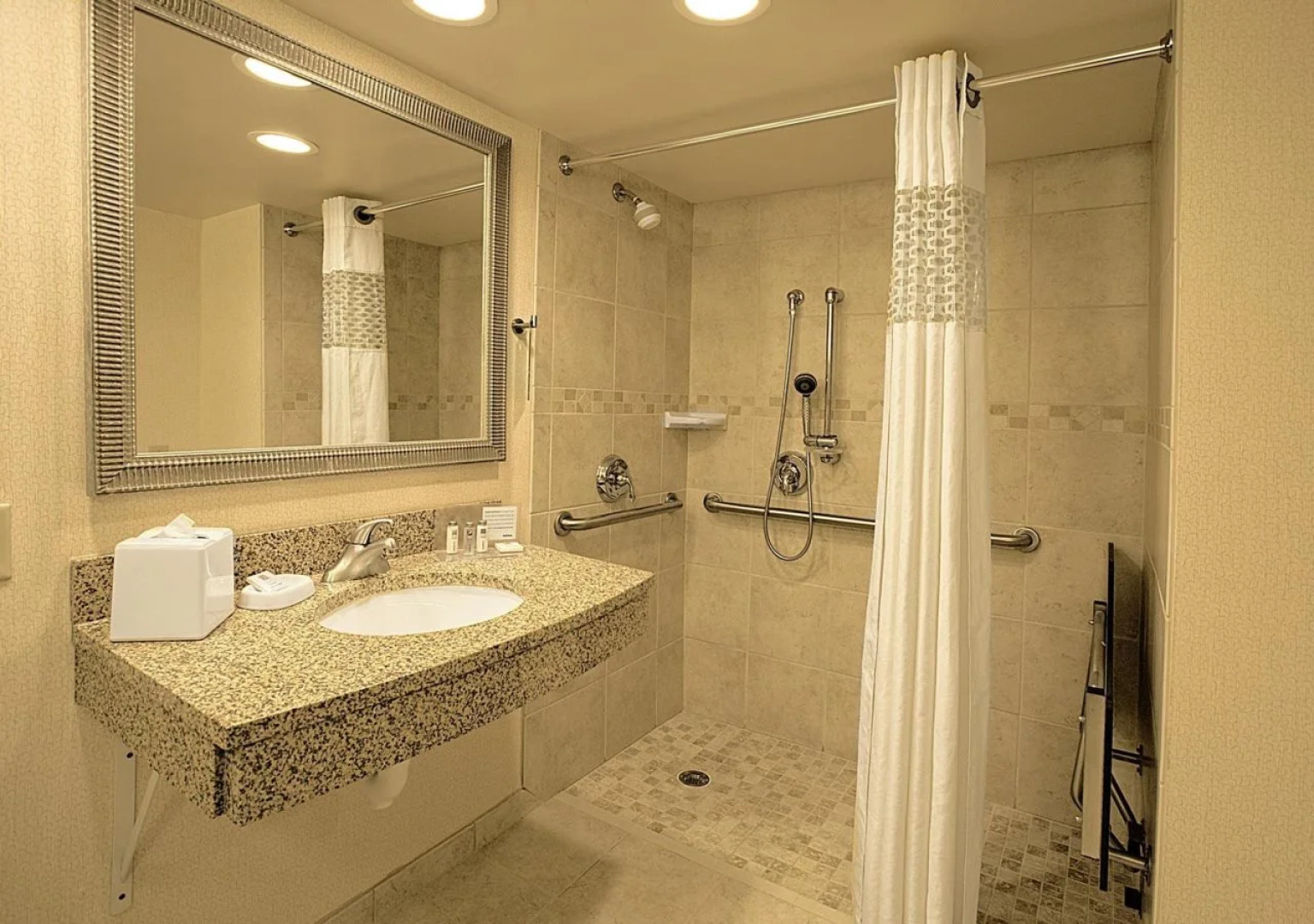 Hampton Inn Asheville I-26 Biltmore Area