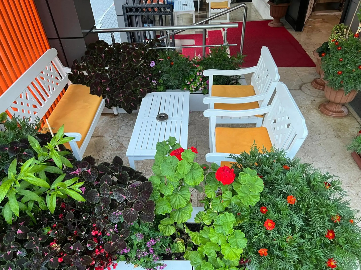 Cleopatra King Apart