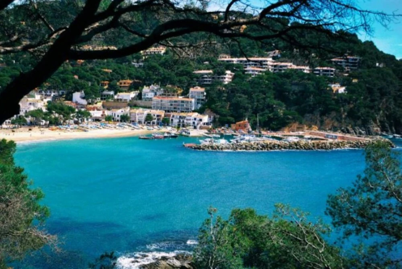 Apartment in Llafranc - 104841 by MO Rentals