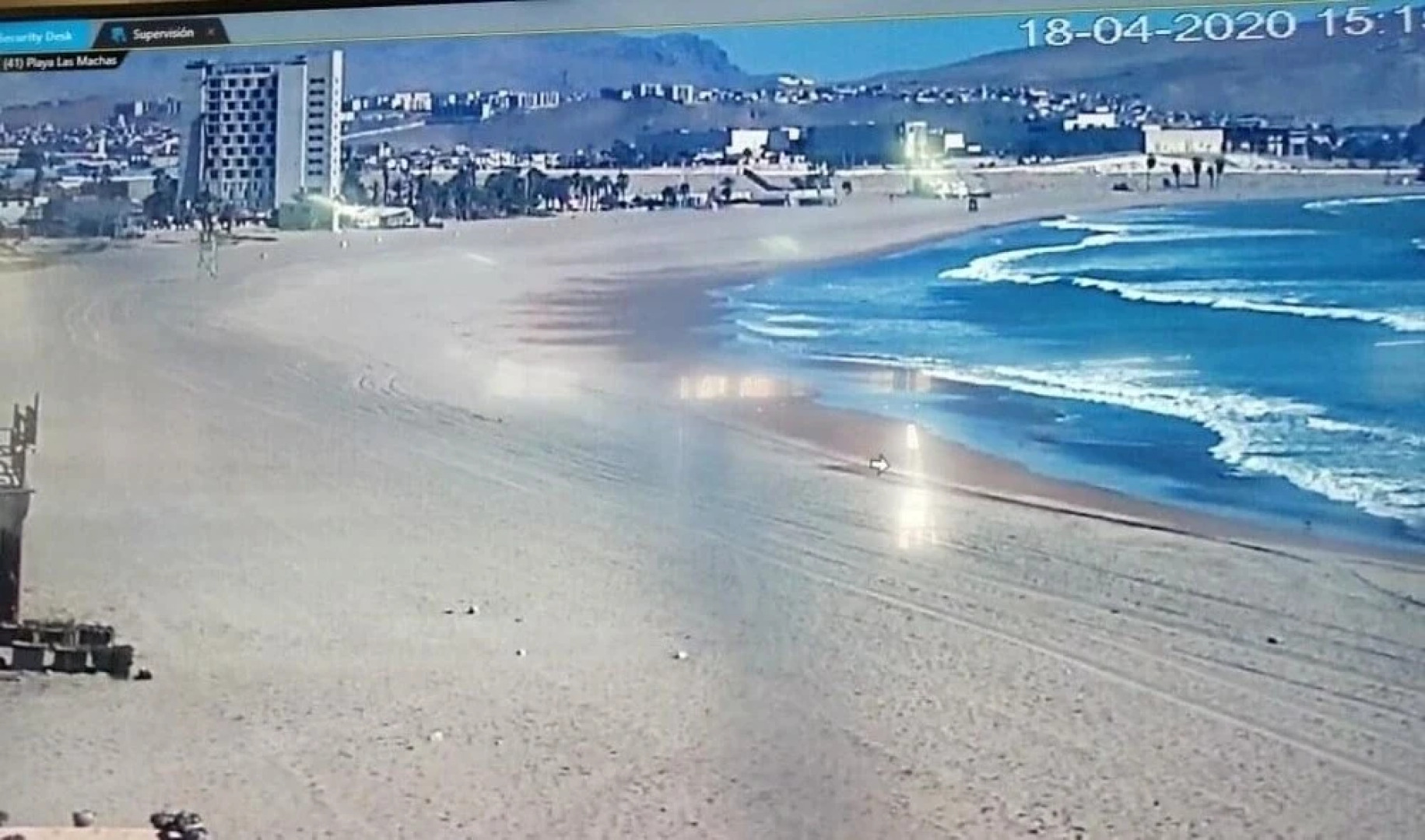 Pacifico Arica Parque Socoroma