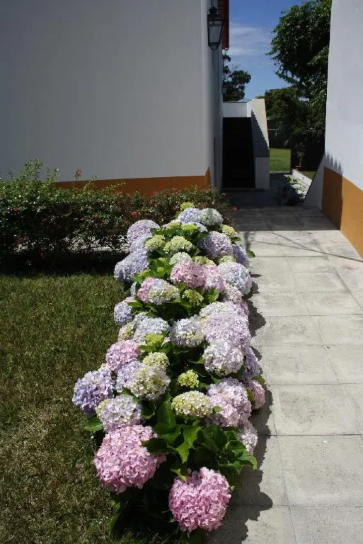 Quinta de São Caetano - São Miguel Açores