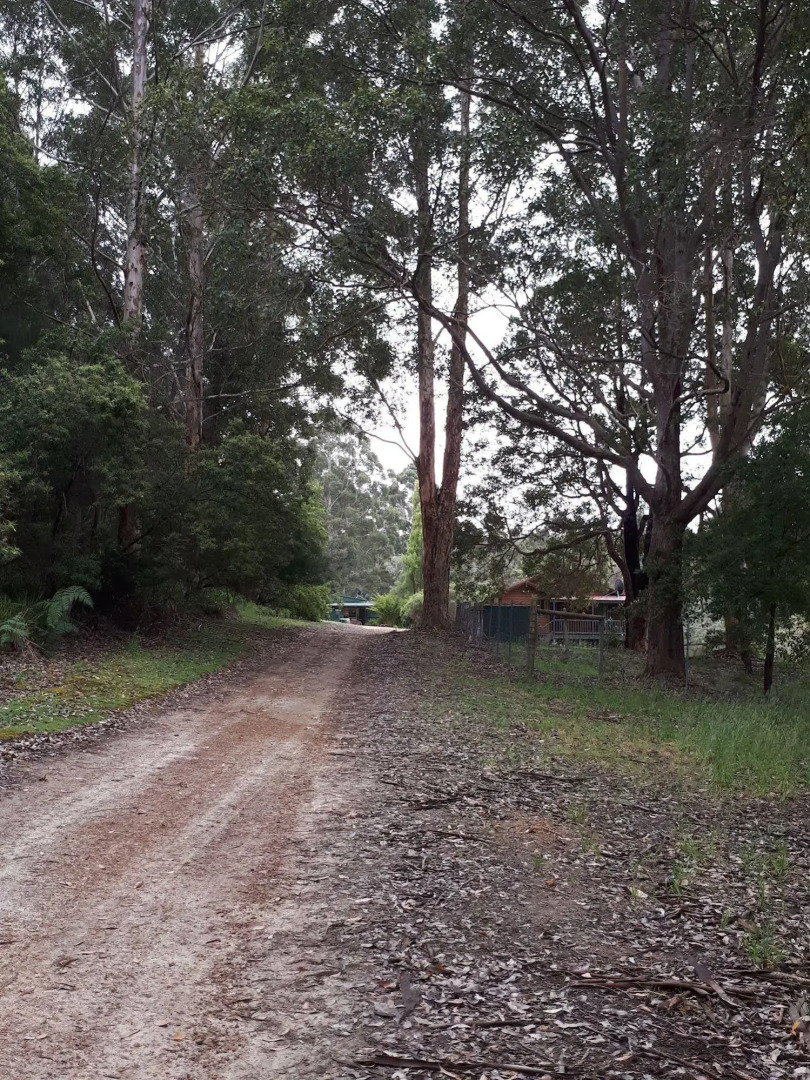 Walpole Wilderness Resort