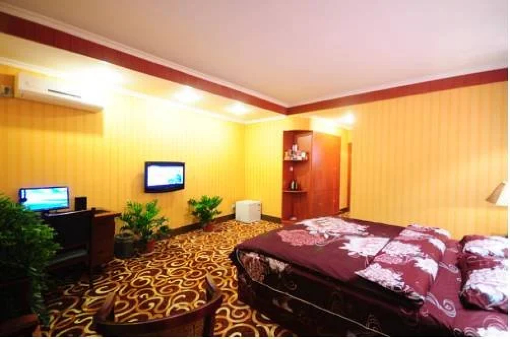 The Bog-Garden Hotel Lhasa