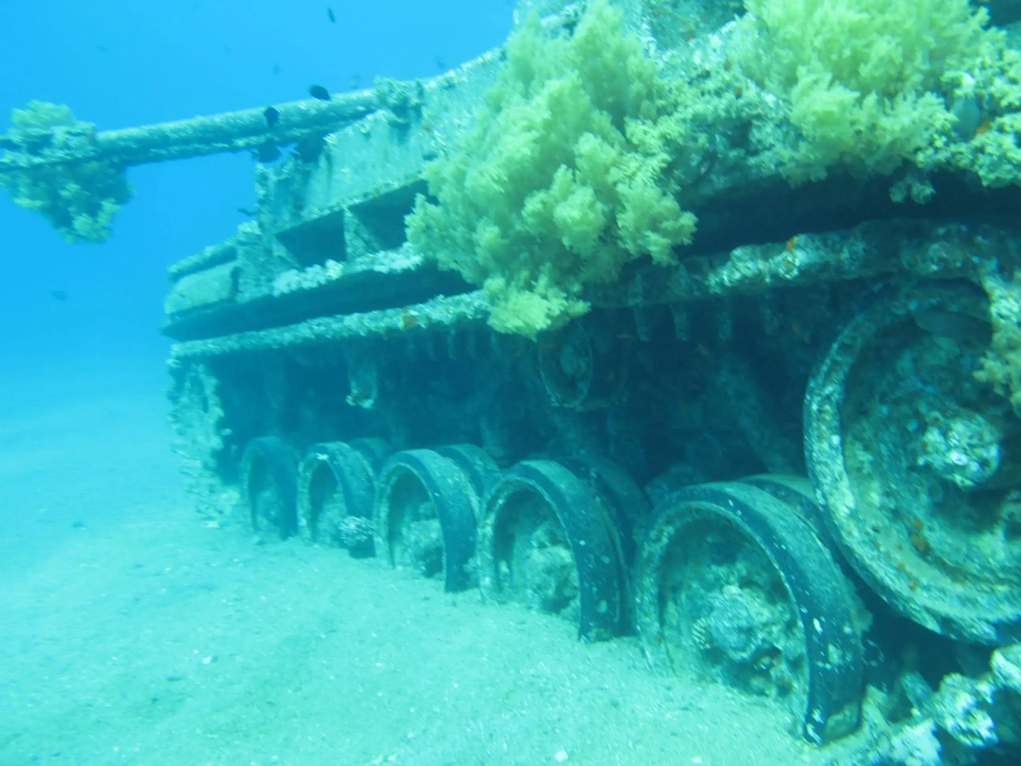 Darna Village Beach Hostel