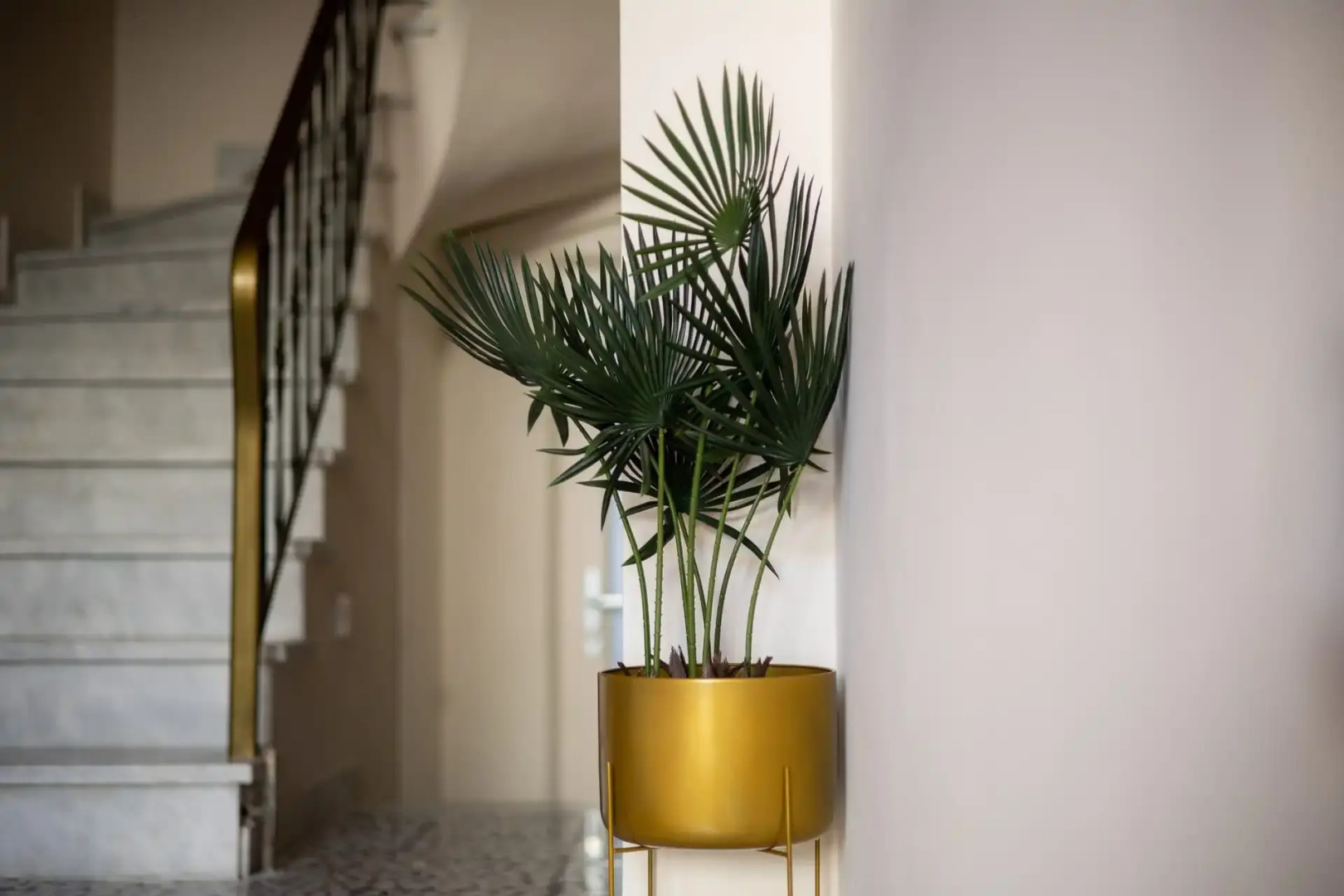 Centauro Prime Residencies