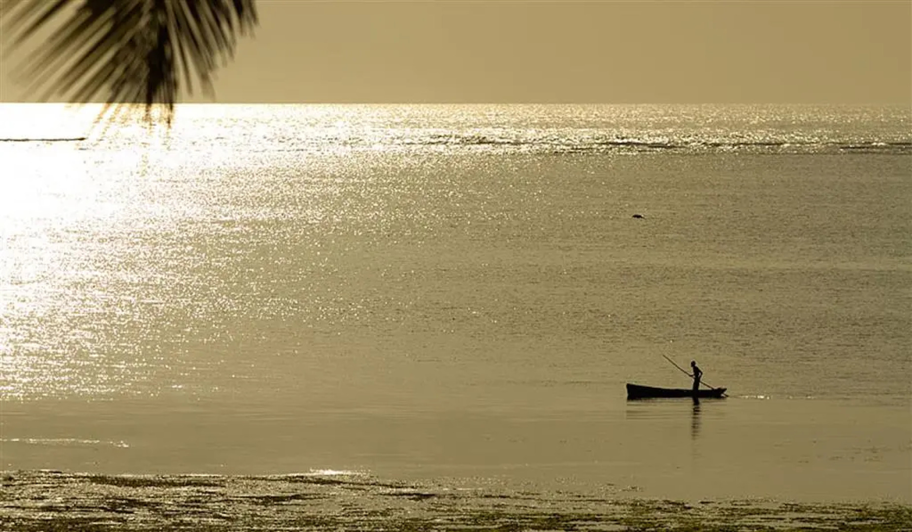 Villa Kalista Luxury Villas