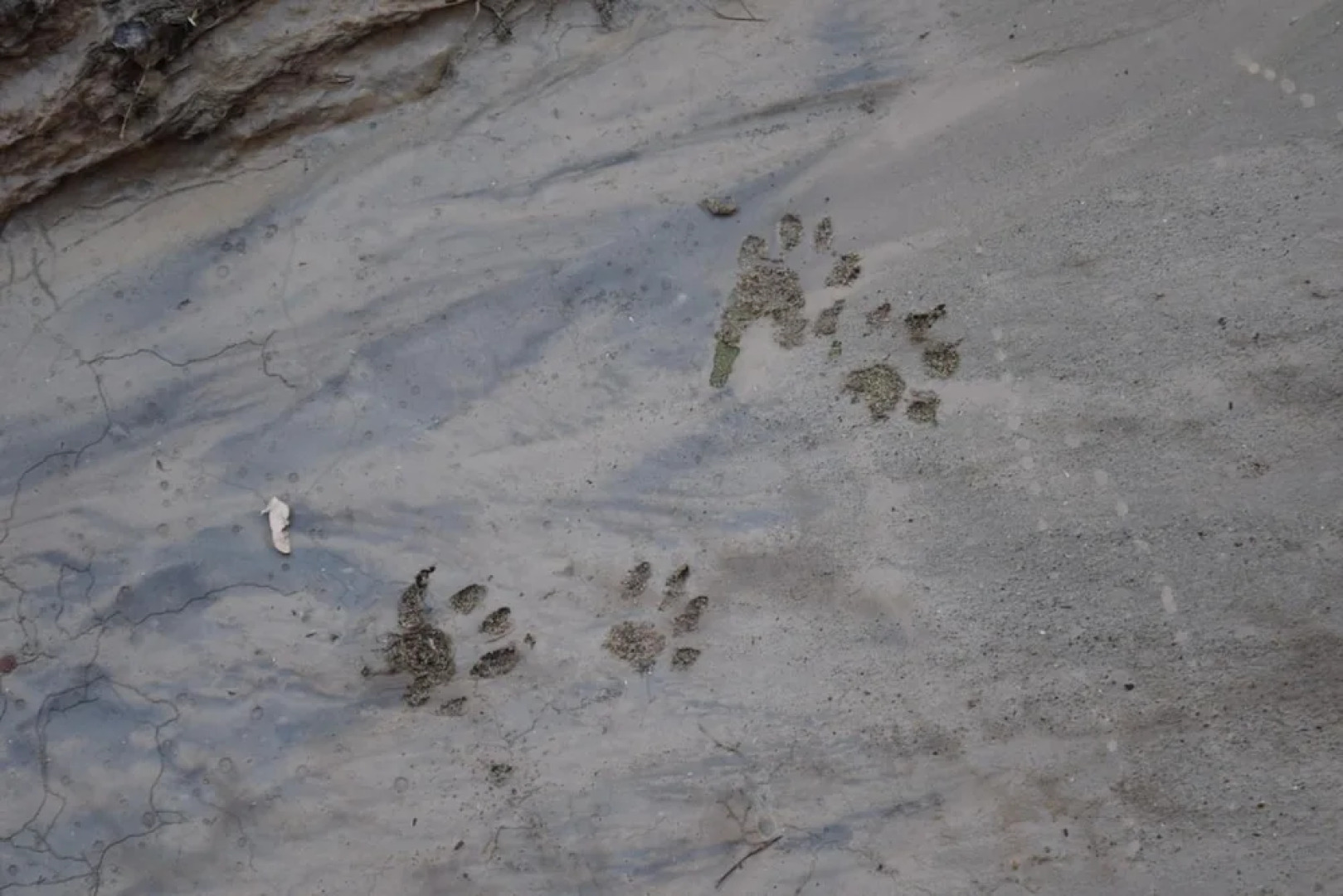 The INN of Escalante