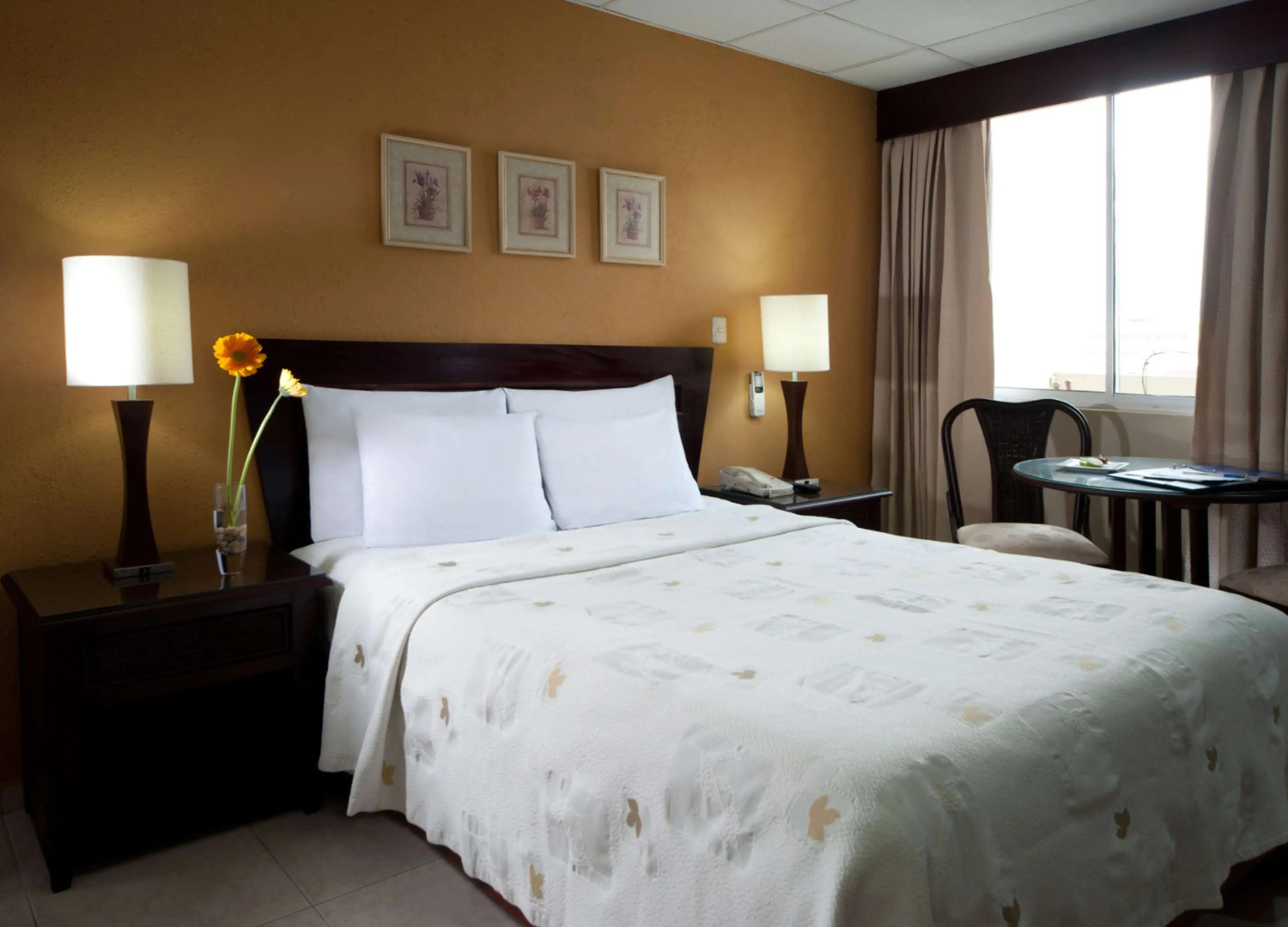 Centro Plaza Hodelpa