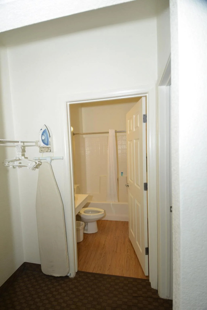 Siegel Select Flamingo