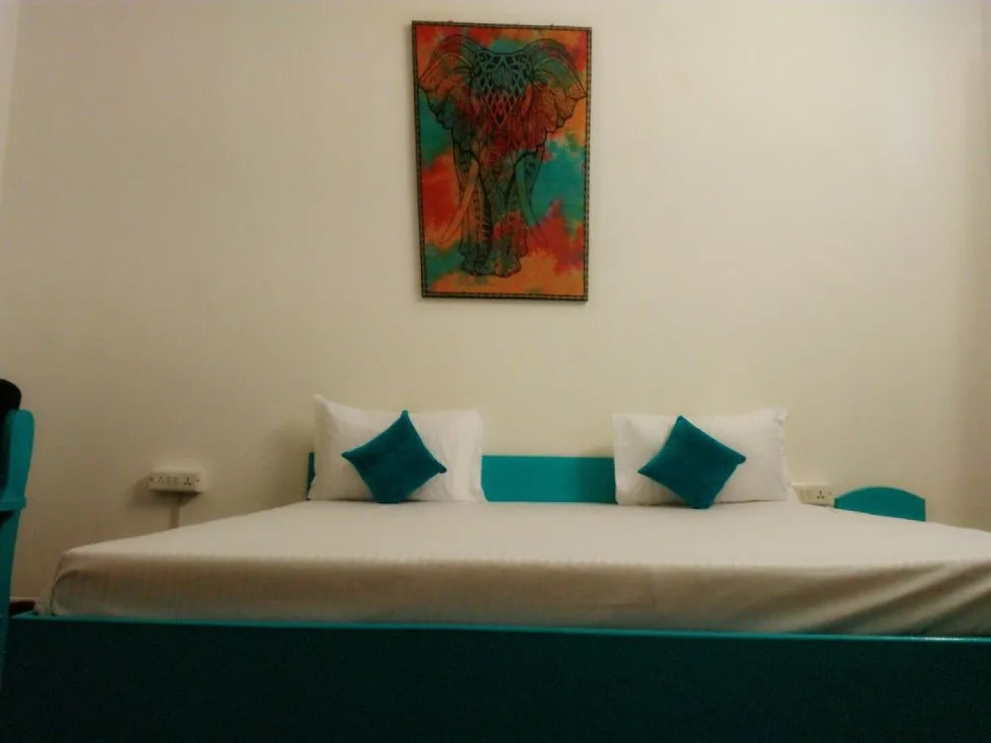 Moustache Pushkar - Hostel