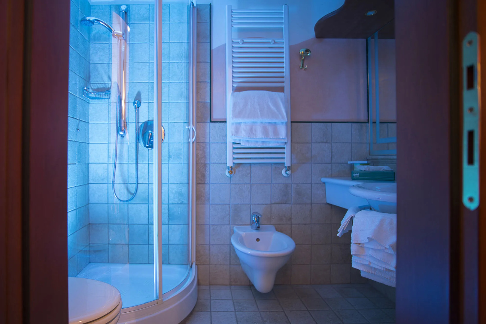 Grand Hotel Terme Roseo