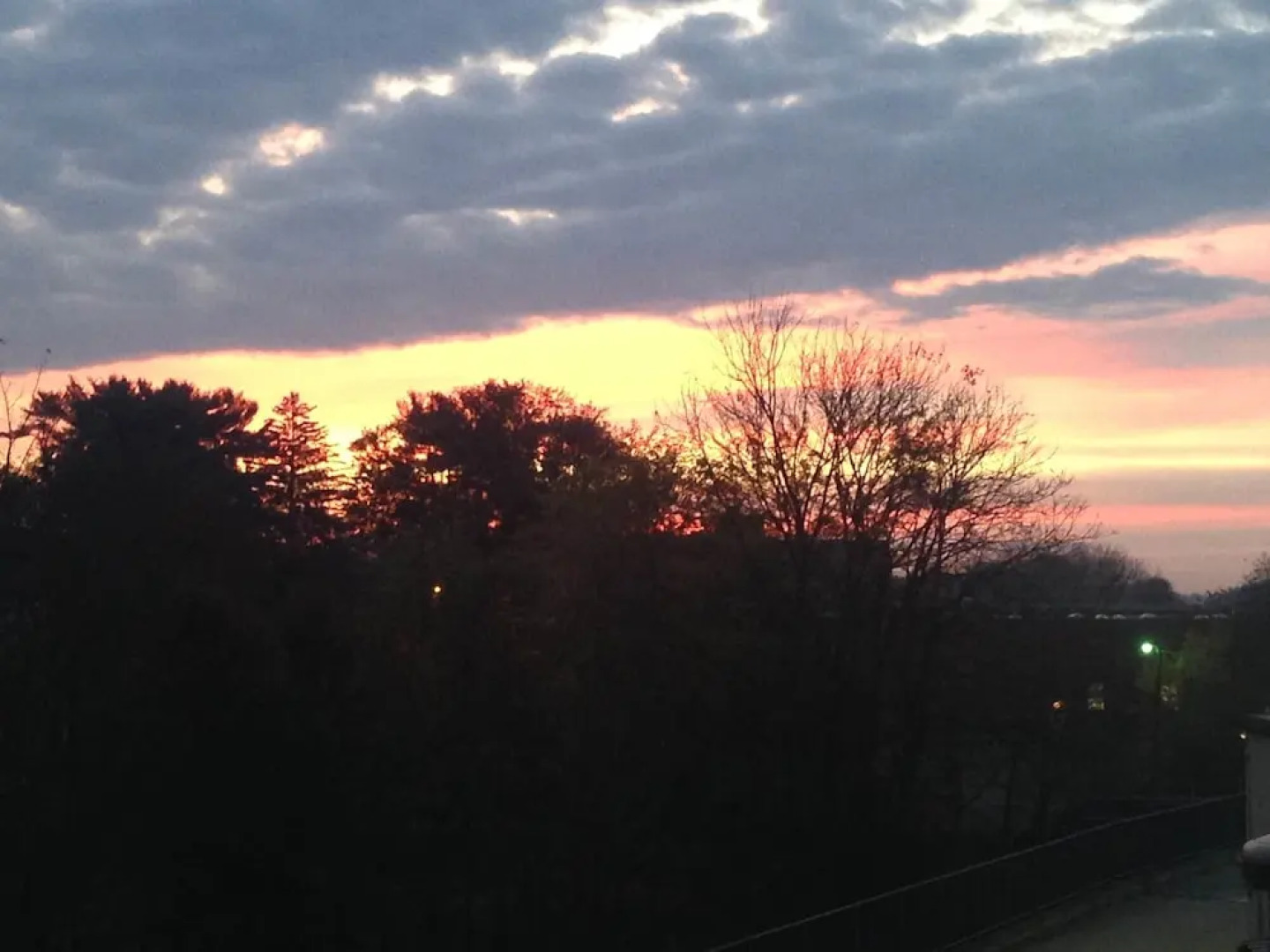 The Dragonfly Bed and Breakfast