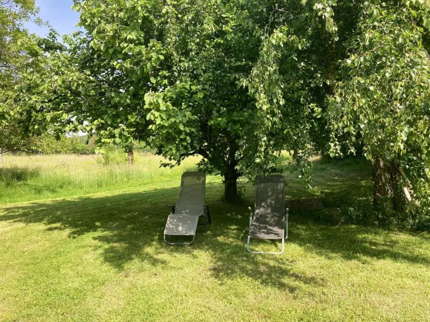 Appartement de 3 chambres avec jardin amenage et wifi a Thannenkirch