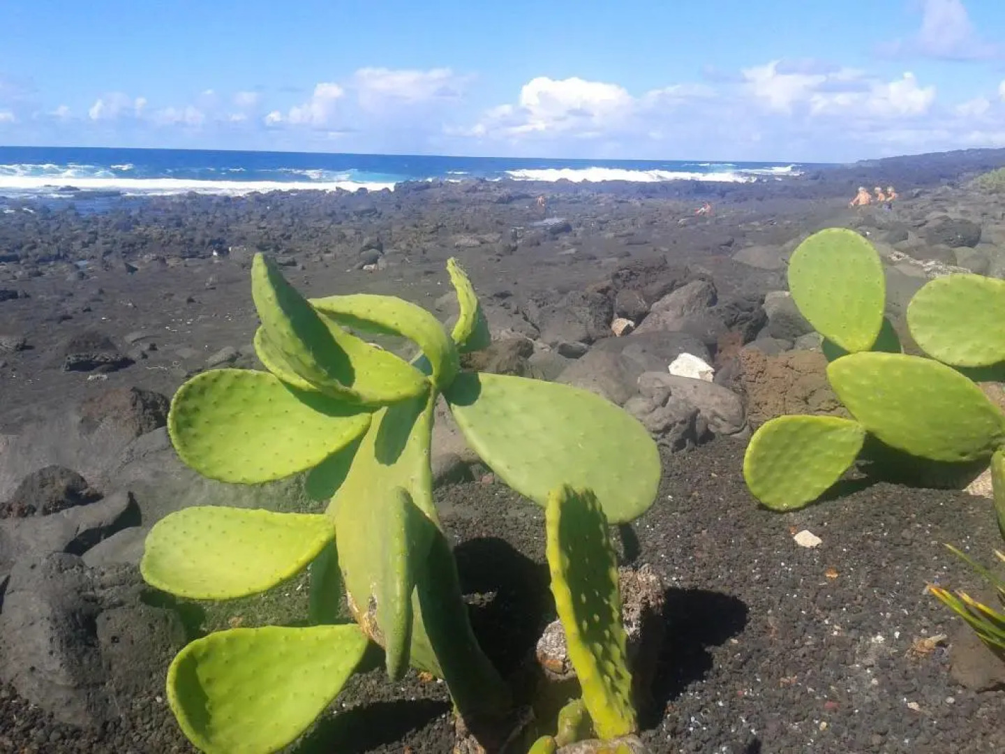 Holiday Home Av. Marítima