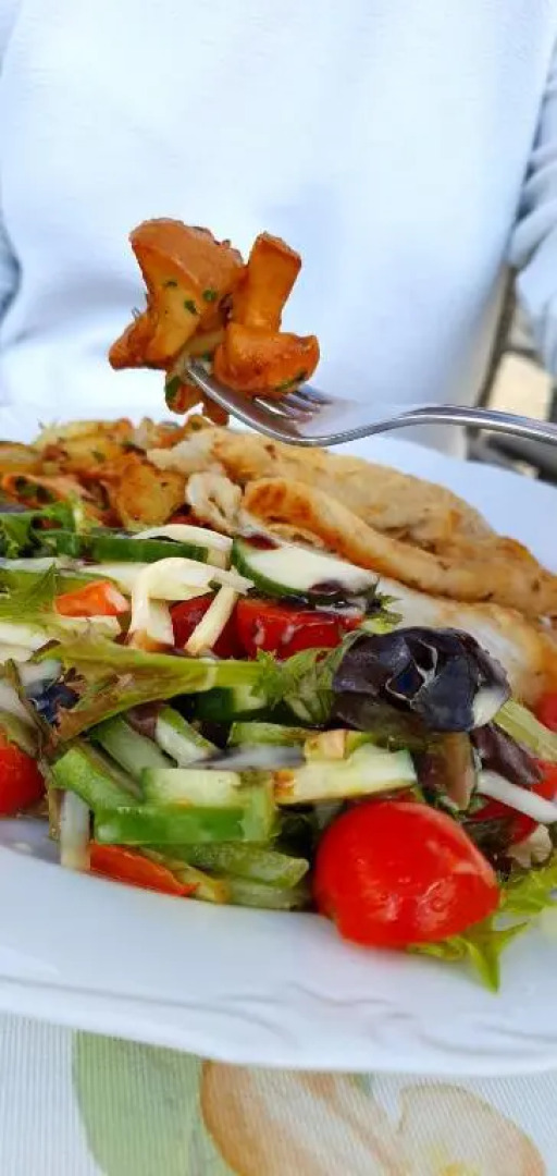 Hotel-Restaurant Elsterblick