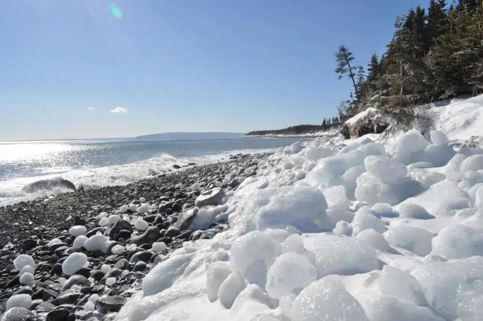The Dancing Moose Cafe