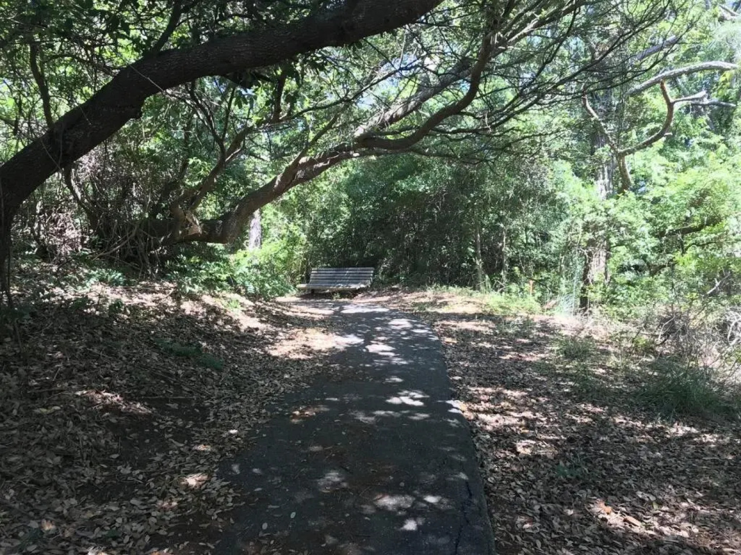 3034 - Not Too Crabby