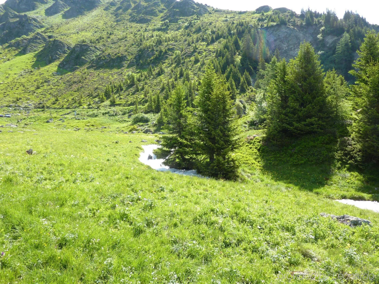 La Cordée des Alpes