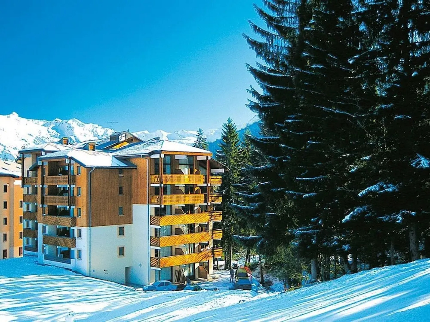 Rustic Studio in Wooded Area at 50 m. From the ski Lift