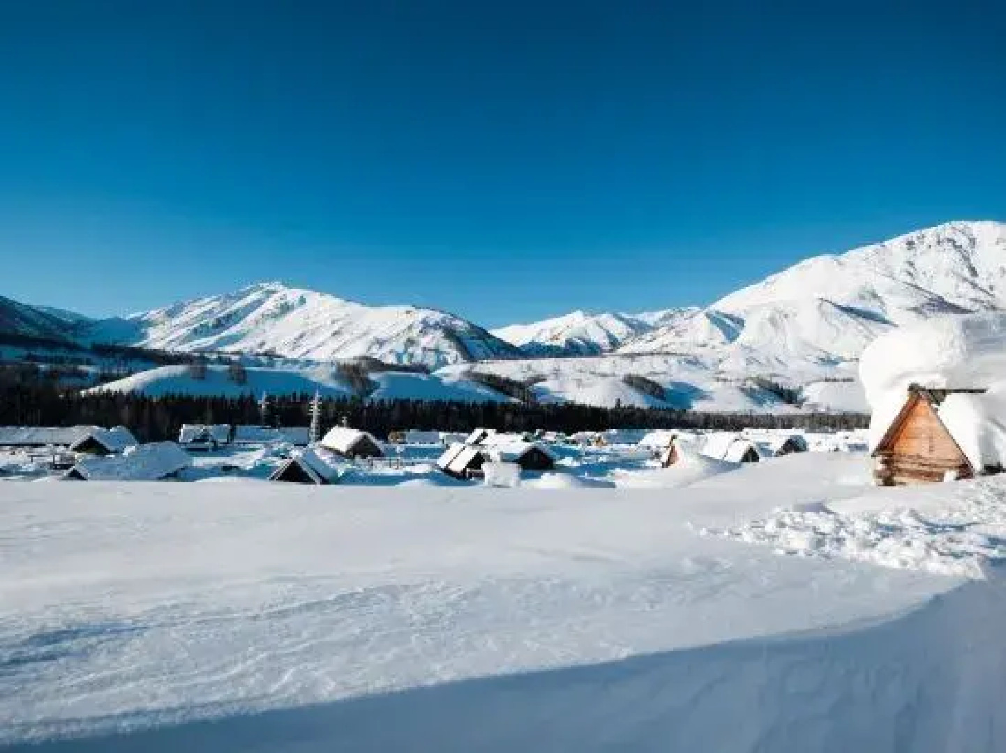 naked Home · Hemu Altay