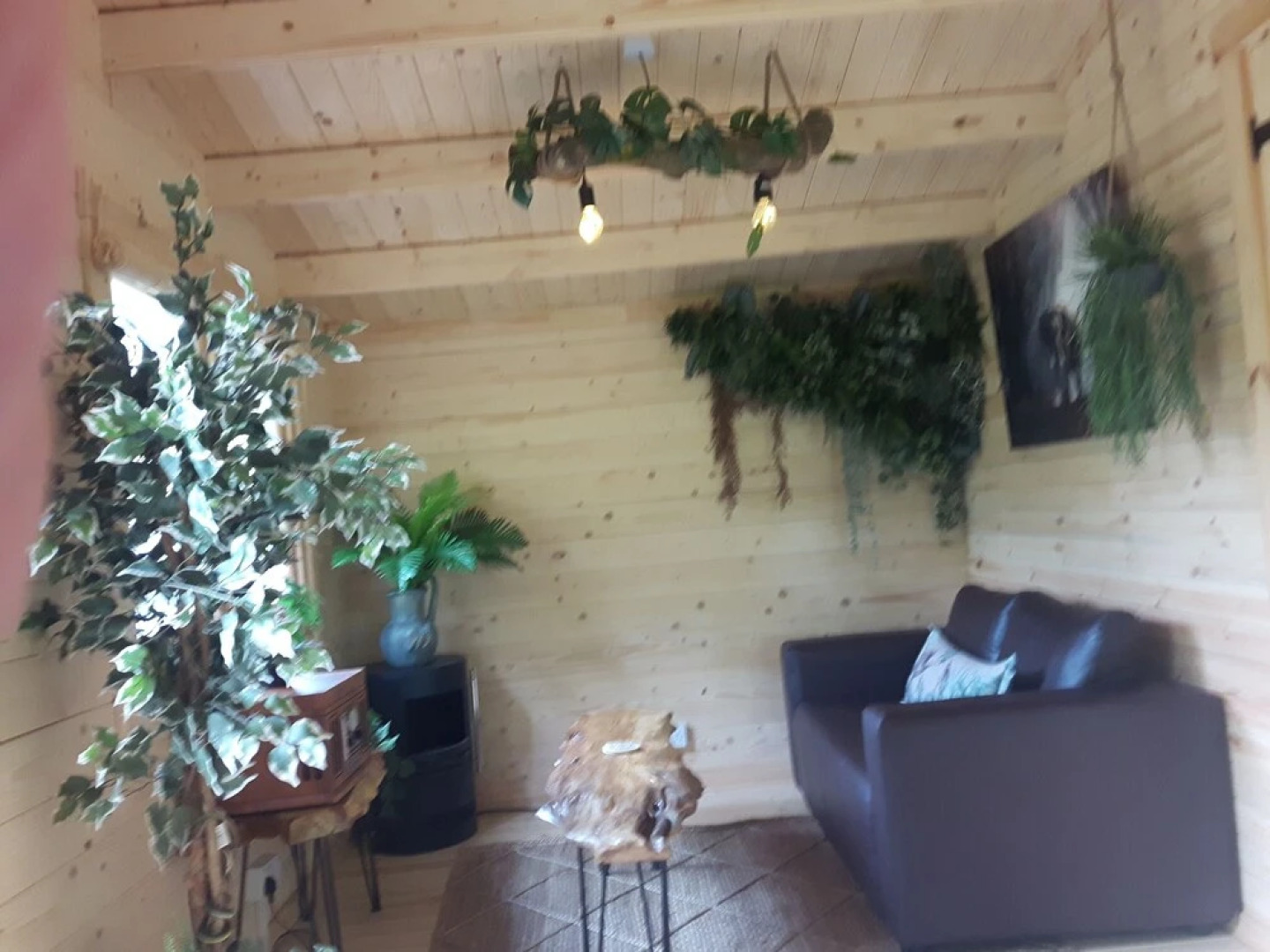 Cabin set in a Beautiful Romantic Tropical Garden