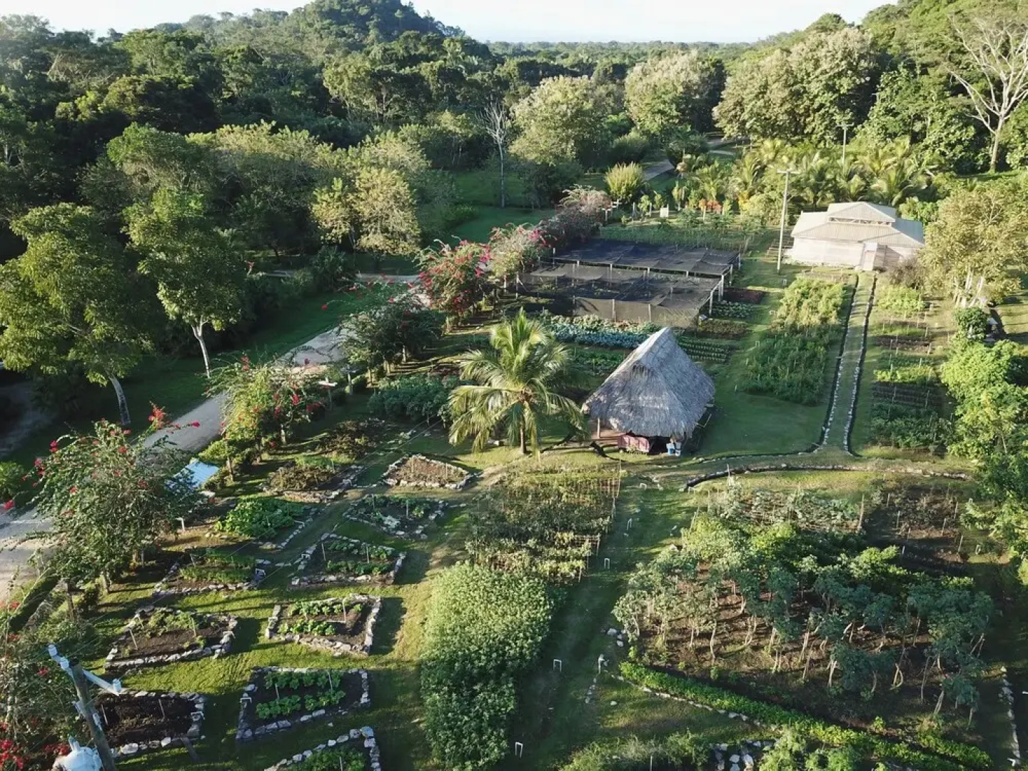 Copal Tree Lodge, a Muy'Ono Resort