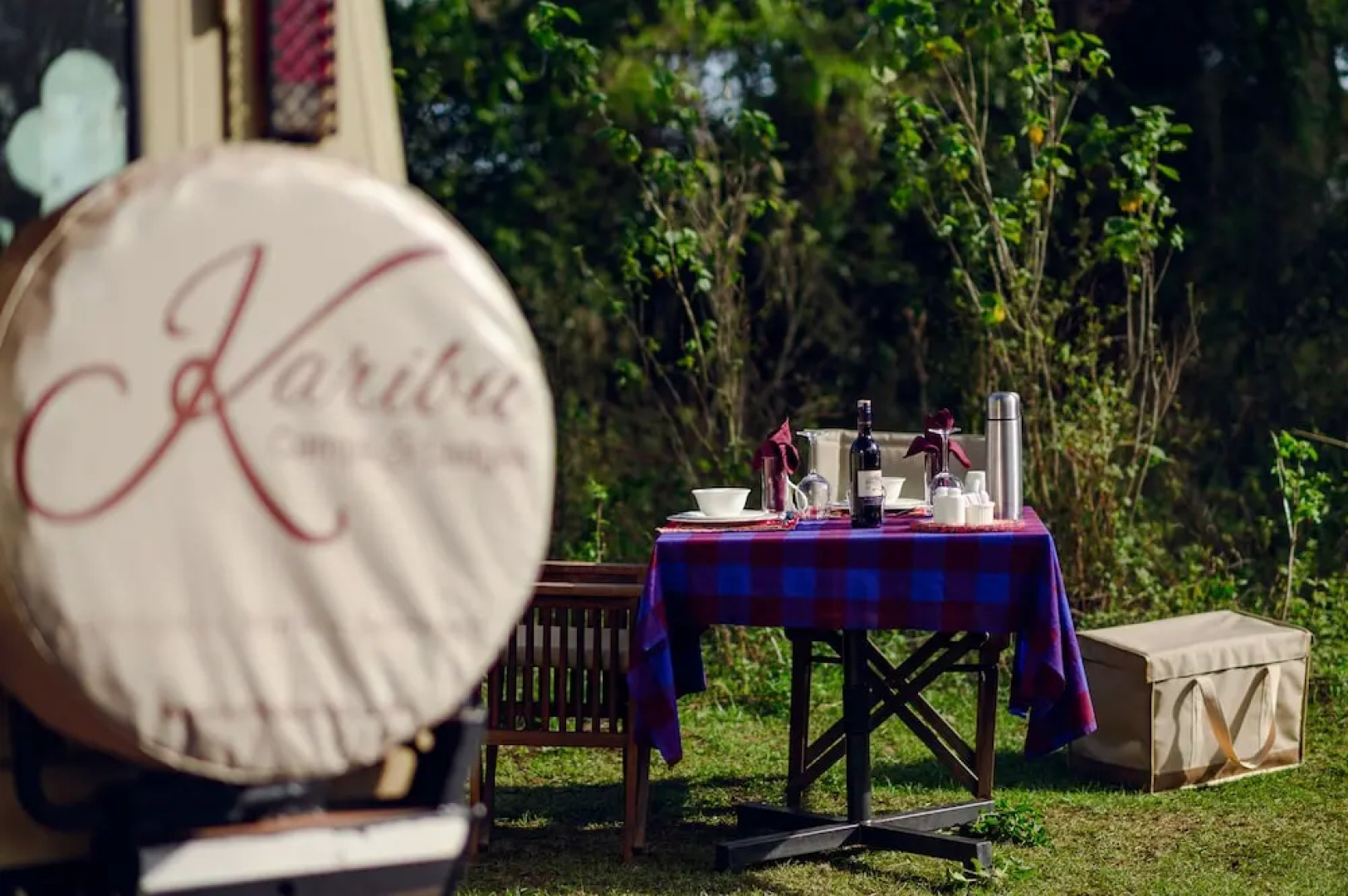 Ngorongoro Lions Paw