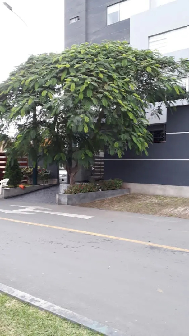 Polo House B&B - Surco