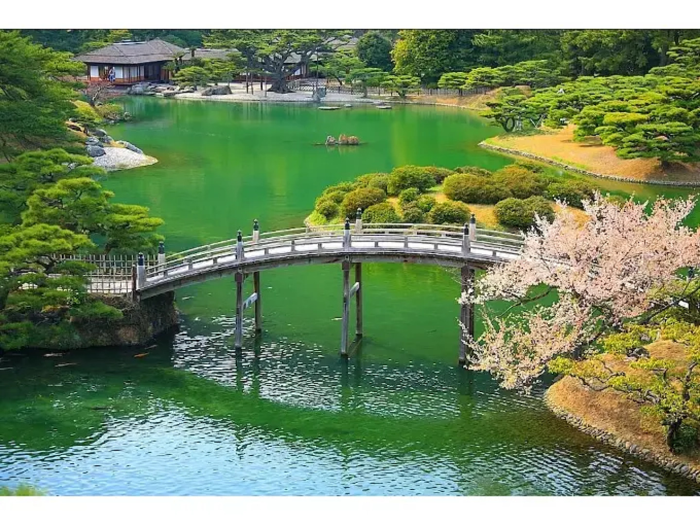 Business Hotel Sunshine Takamatsu