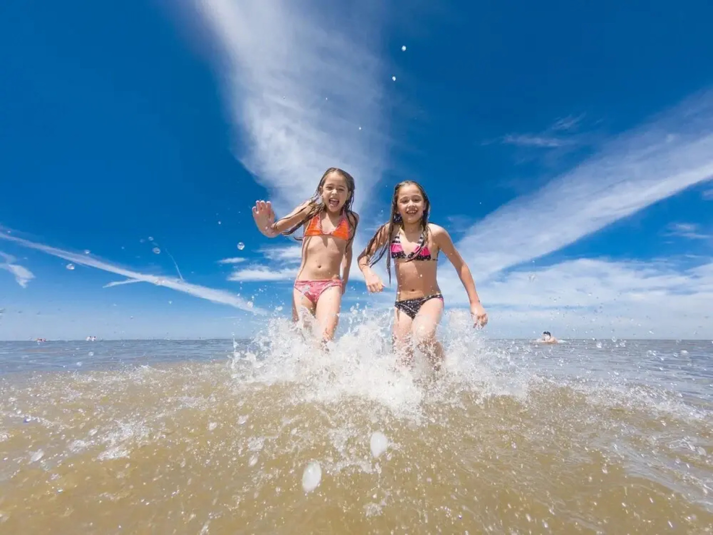 Moder Chalet With a Dishwasher, Behind the Dunes