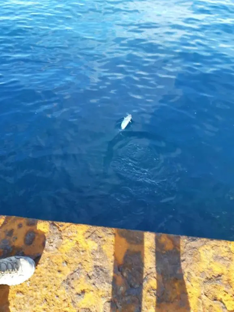 Casa a vulcano piano isole Eolie