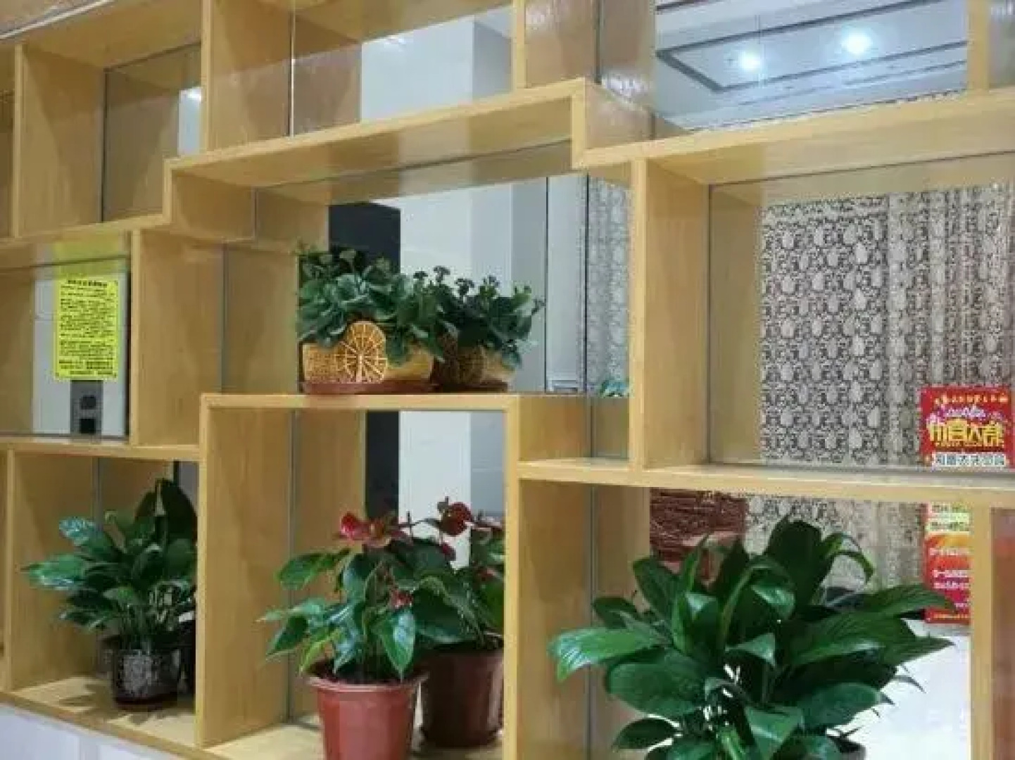 Pingnanxiandiwangbianjiejiudian