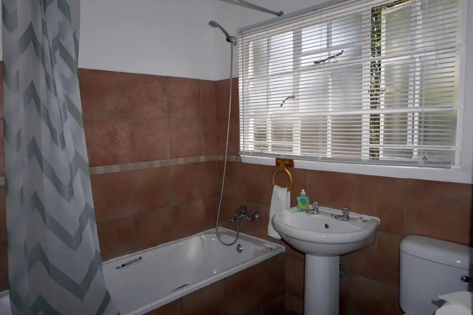 Sheba Rock Guest House