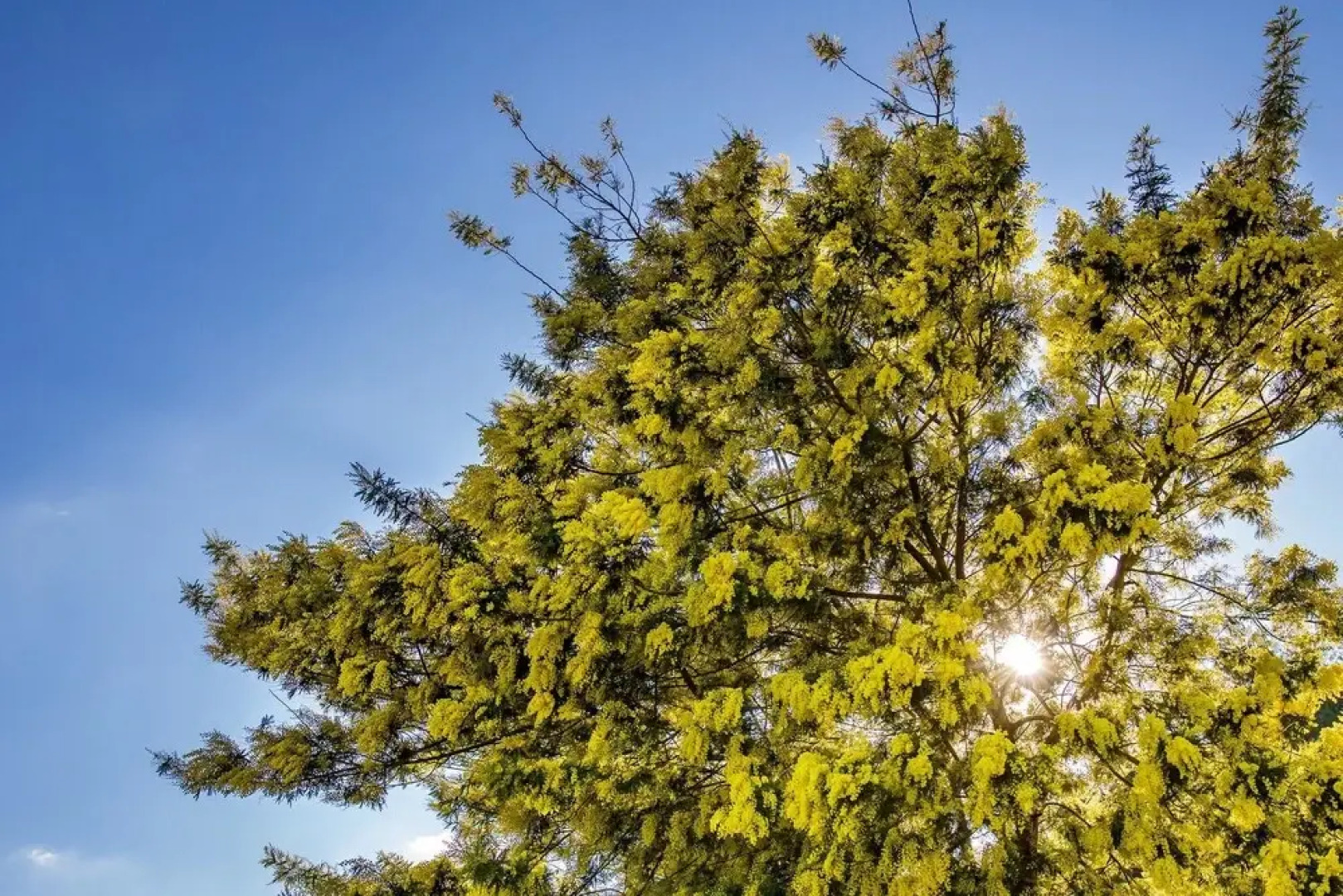 Villa With one Bedroom in Santa Teresa di Riva, With Wonderful sea View, Private Pool and Enclosed Garden - 1 km From the Beach