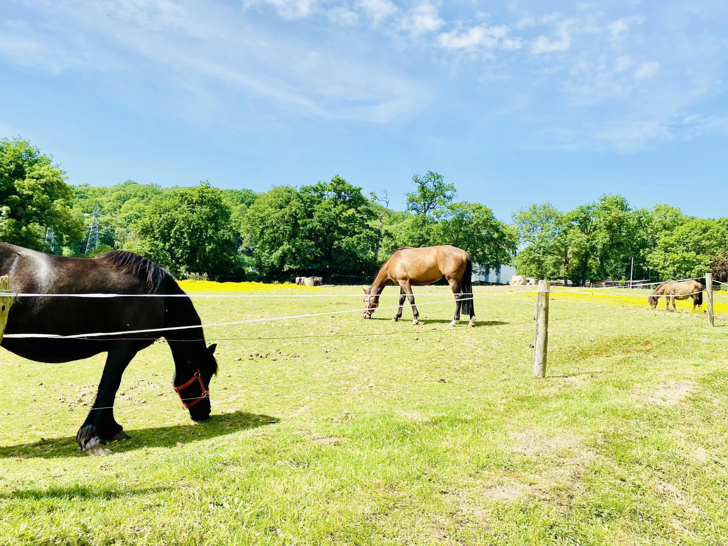 Sure Hotel by Best Western Port Jérome - Le Havre
