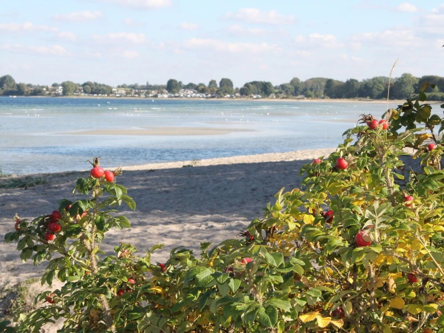 Lovely Bungalow in Hohenkirchen Germany by the Sea