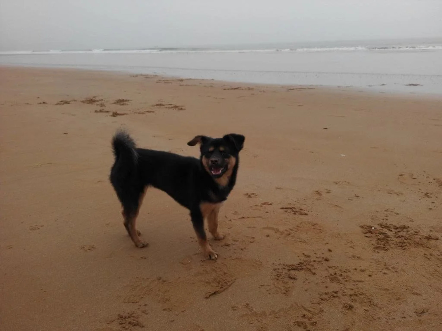 Qingdao Beach Youth Hostel