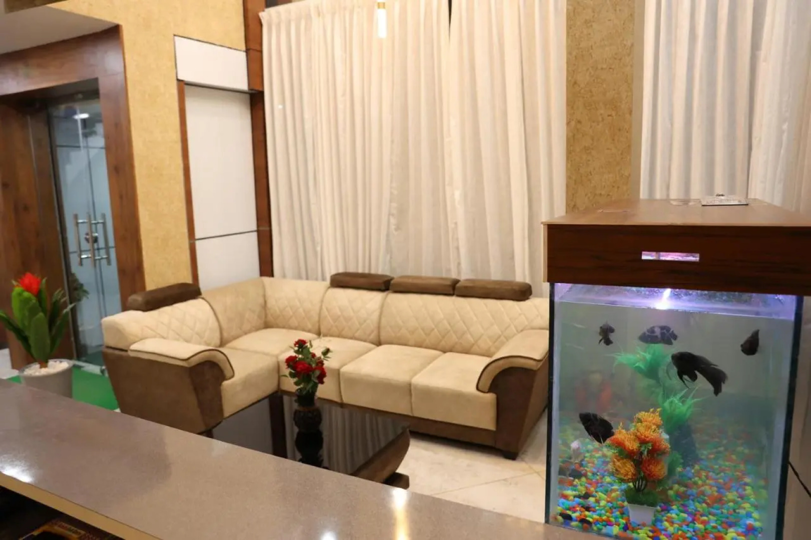 Sunshine International Boarding & Lodging