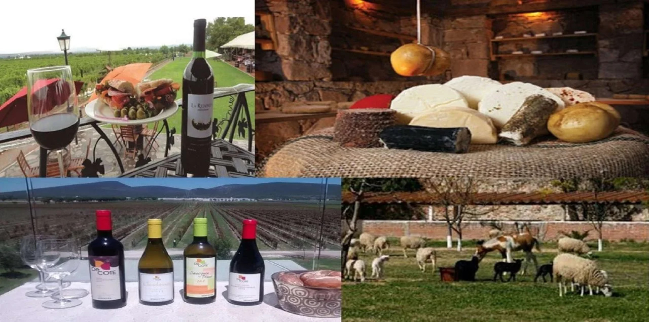 Hotel San Carlos Tequisquiapan