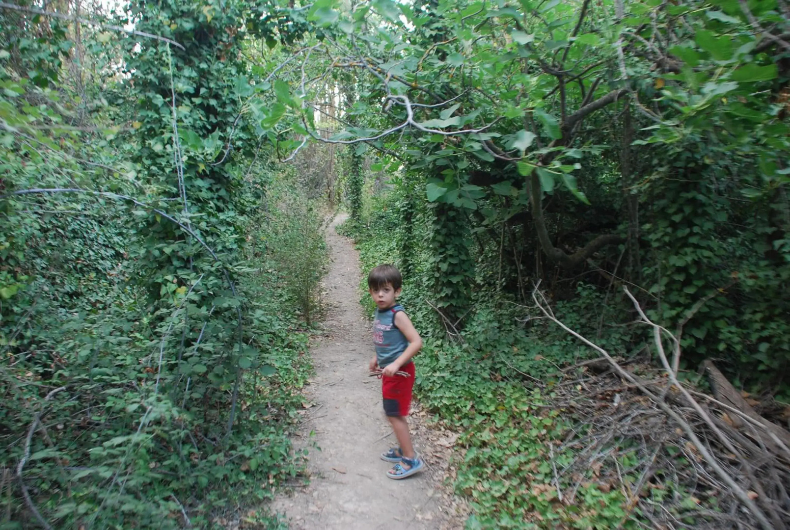 Casa Rural Rio Cabriel