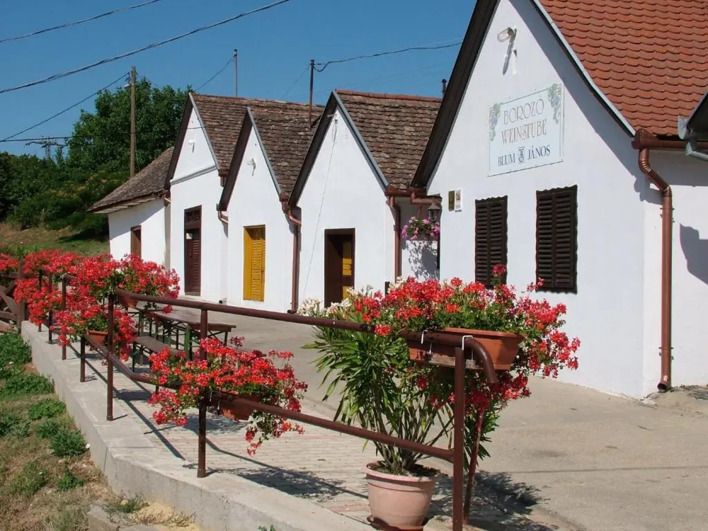 Blum Pince - Borozó Vendégház