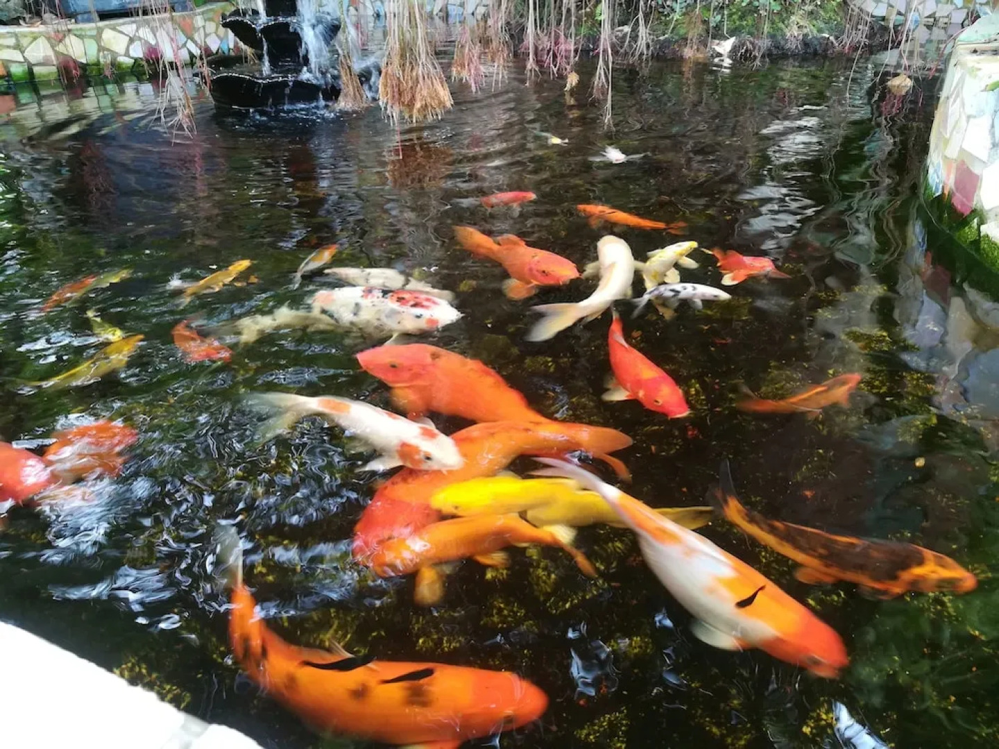 The Wilsons' Shangrila