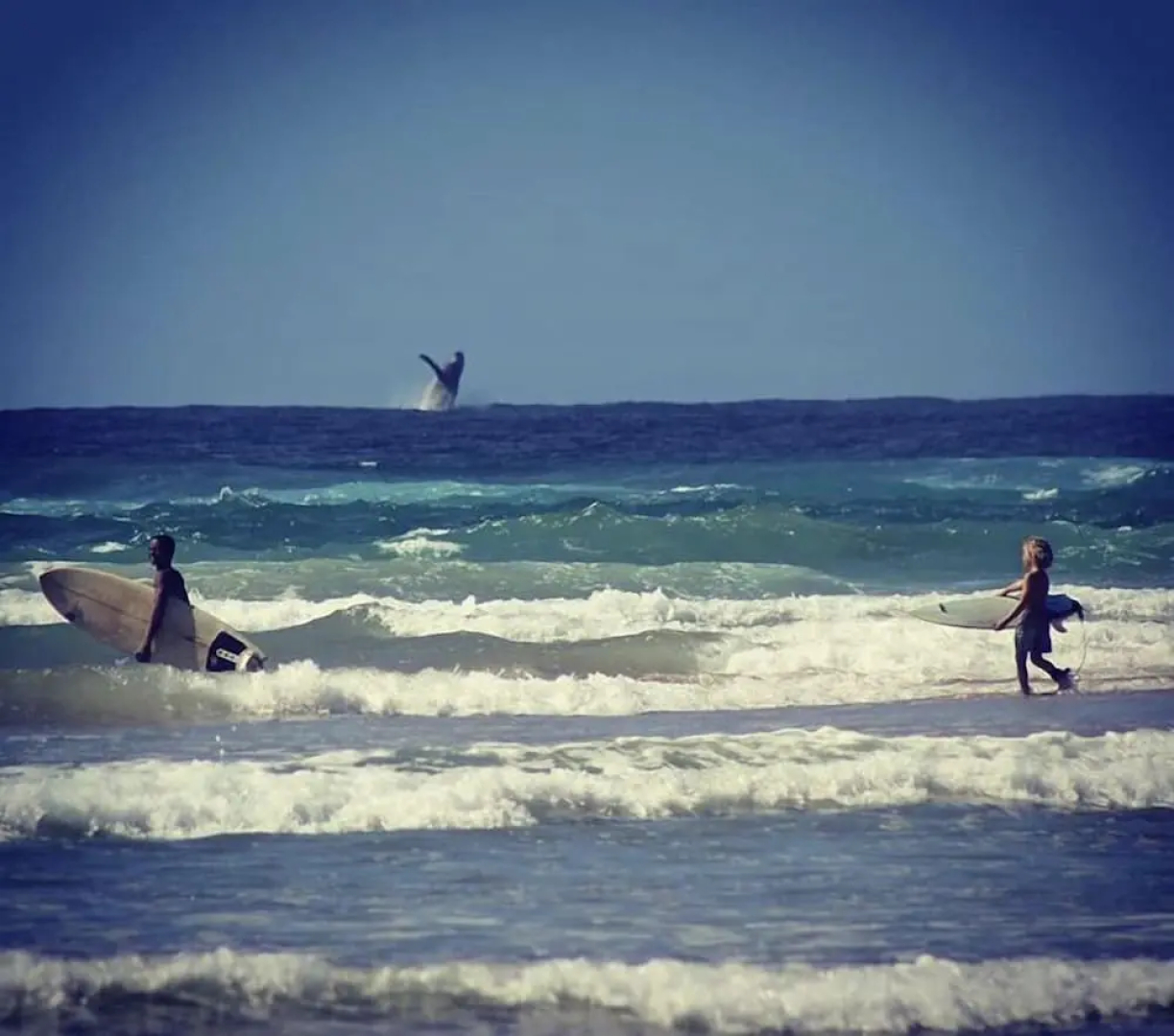 Mozambeat Motel - Hostel