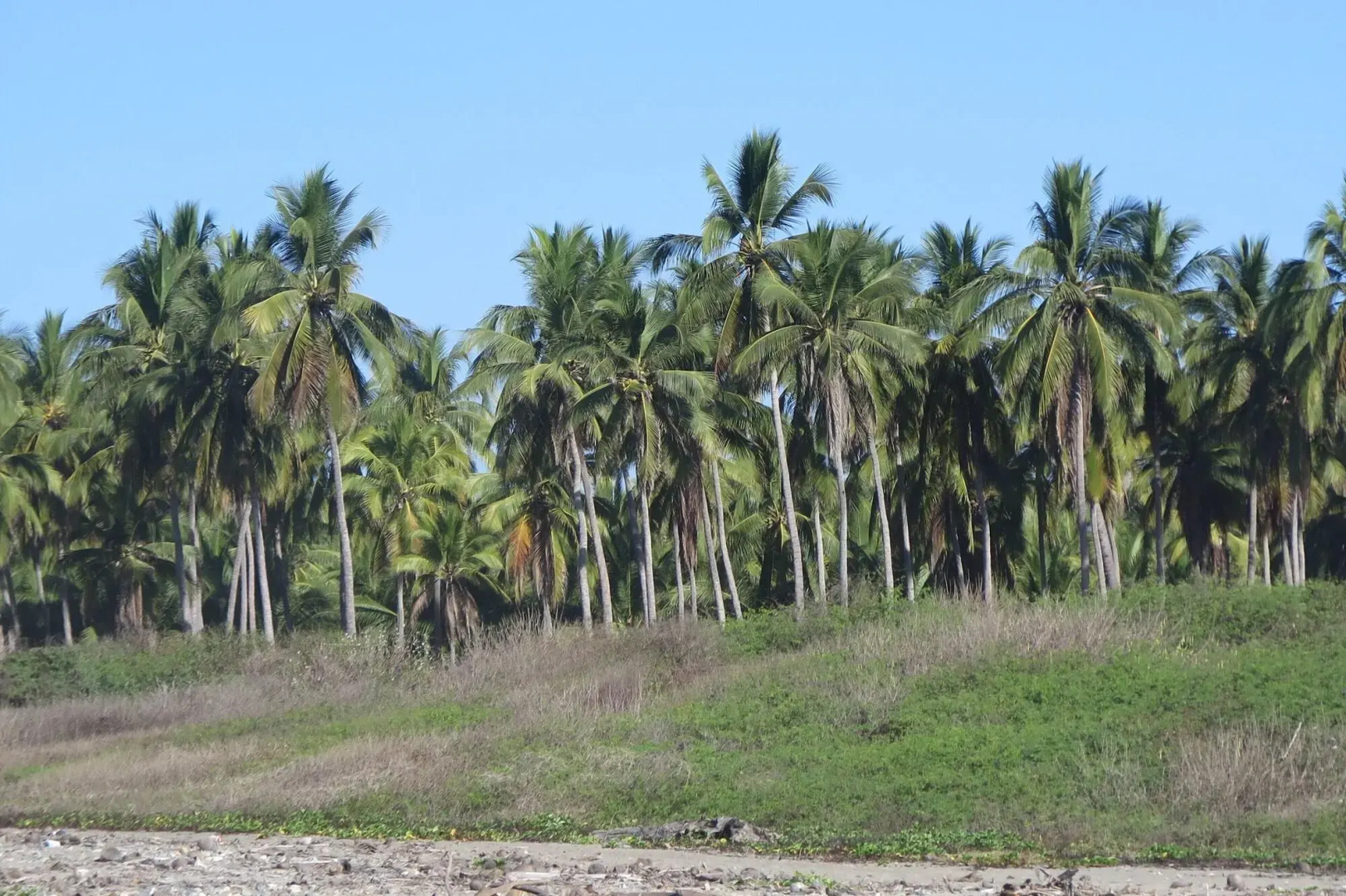 Troncones Point Hostel
